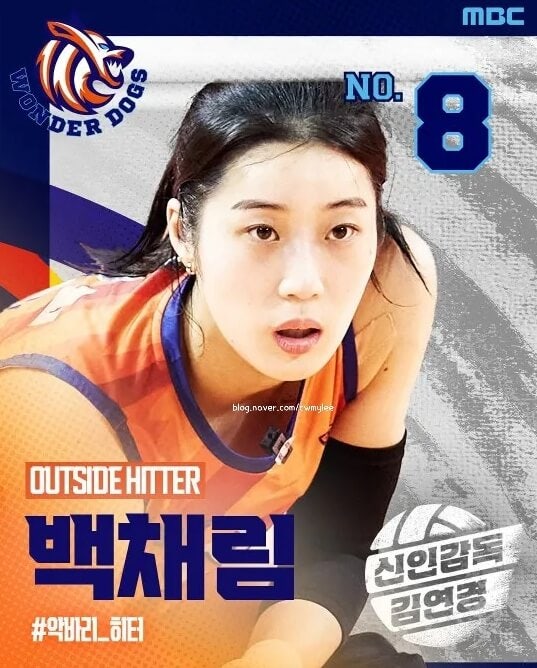 Baek Chae rim volleyballa